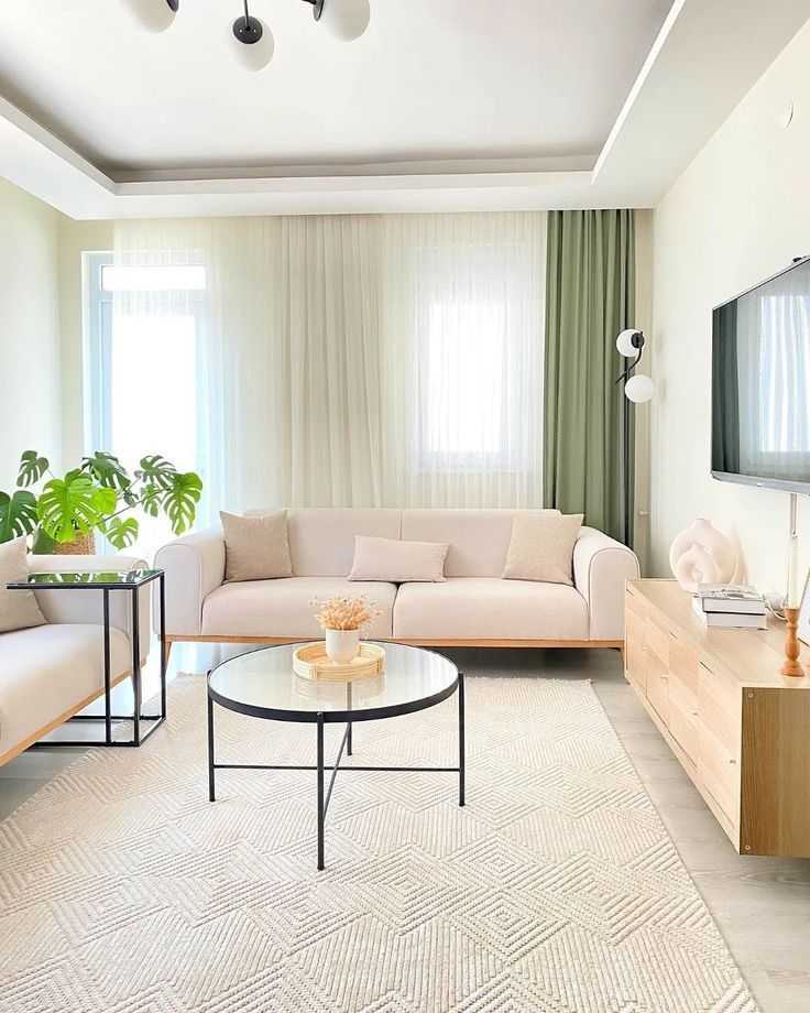 565683 Living Room Designs 19